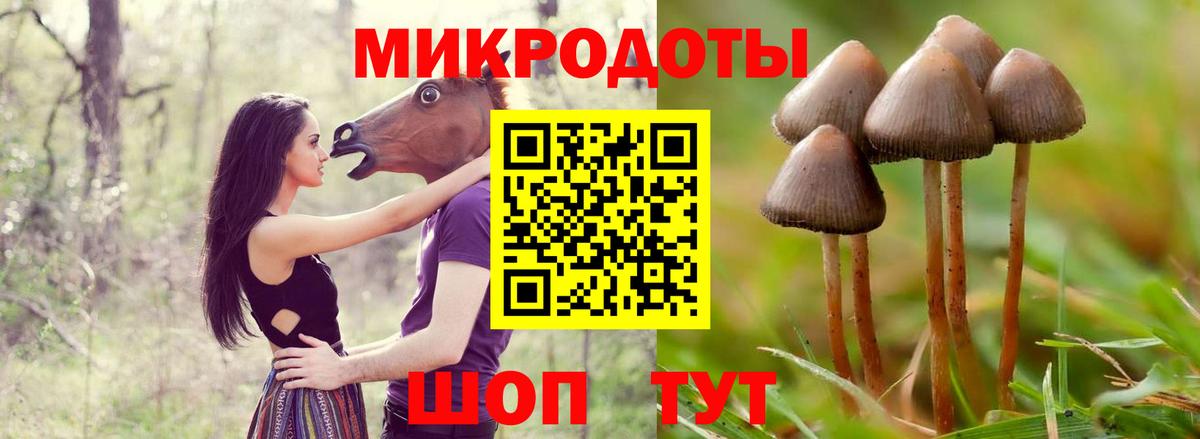 Галлюциногенные грибы Psilocybe  Вход с VPN  Псилоцибиновые грибы Magic Shrooms  Коммунар 